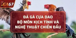 đá gà cựa dao